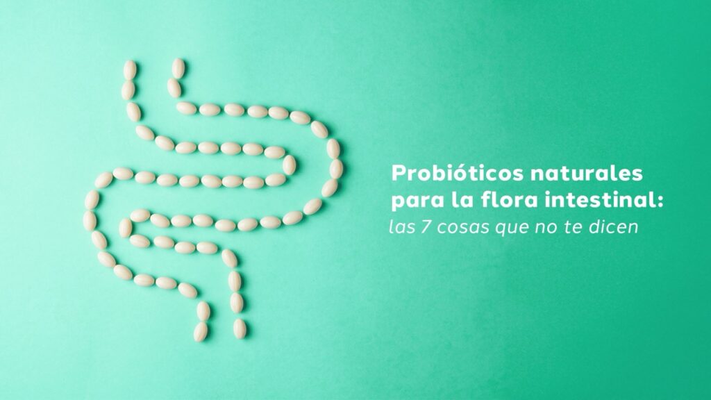 probióticos