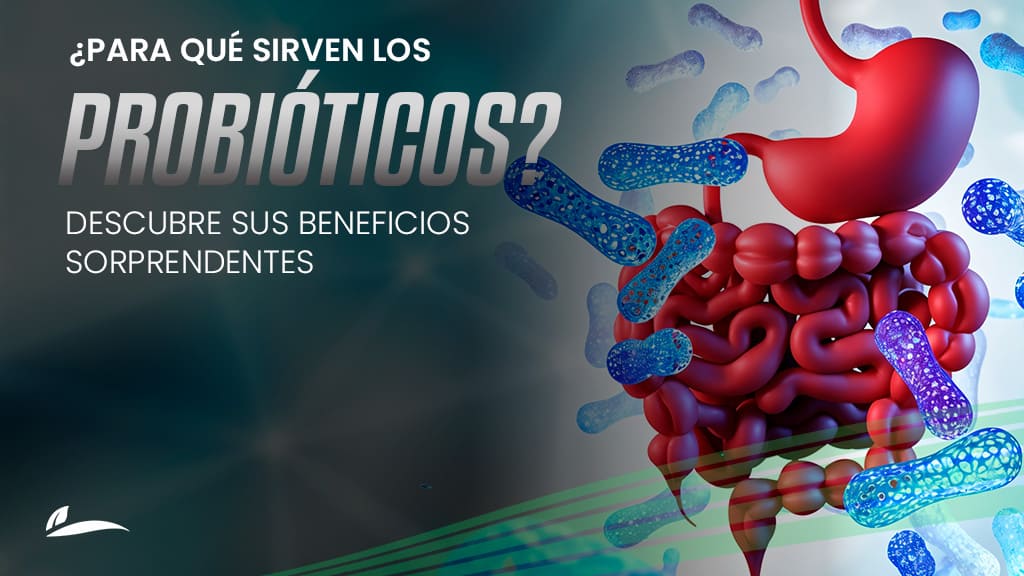 que son los probioticos